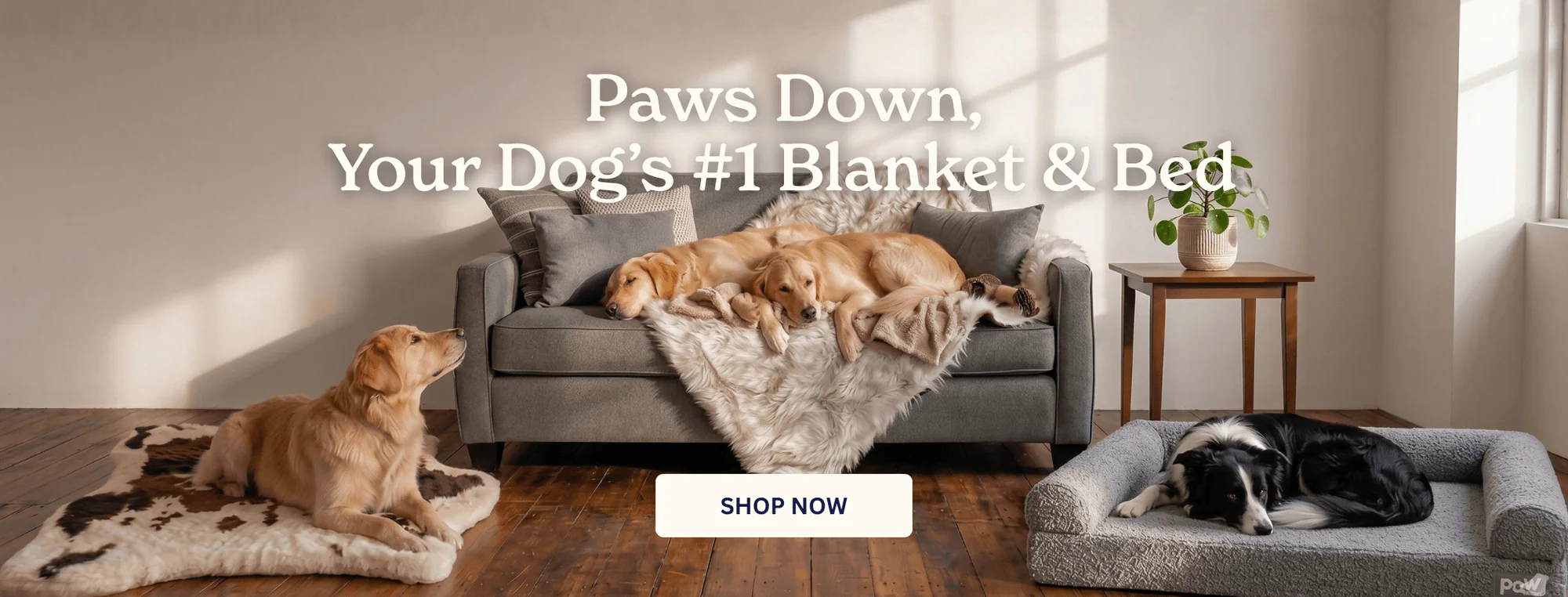 Chic Comfort for Your Pet